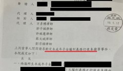 竭盡所能地幫你爭取到未成年子女之親權